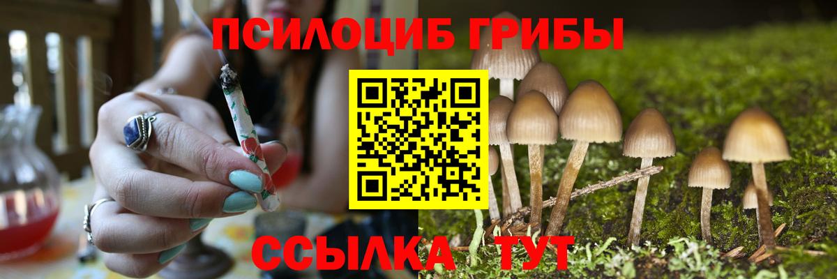 Галлюциногенные грибы Psilocybine cubensis  Вход с VPN  Кинель  Псилоцибиновые грибы Psilocybe 